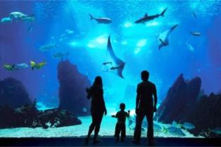 Sentosa-Marine-Life-Park.