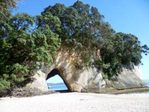 Cathedral Cove