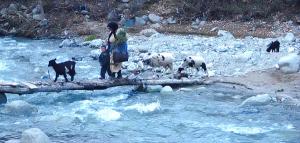 Berbers crossing the river