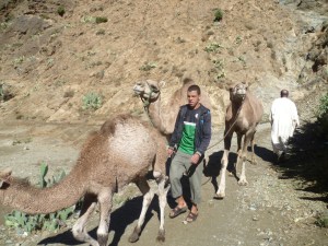 Camels Ourika