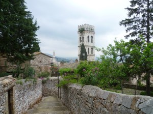assisi scene