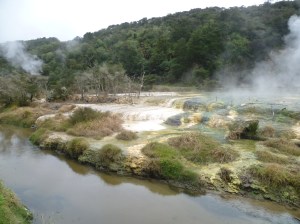 ROTORUA 055