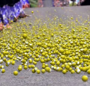 jaffa3260713.JPG JPEG 0540324674