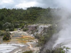 1orakei korako overview