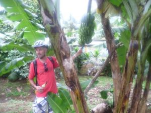 storytellers dave and banana tree