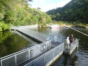 1Zealandia pontoon walk