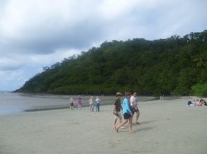 Cape Tribulation