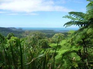 Daintree lookout Wal Wugirriga