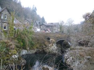 1betwsycoed
