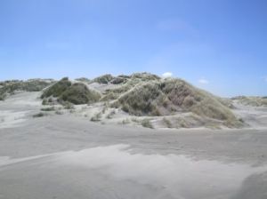 dunes