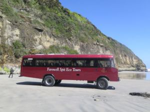 eco bus tour