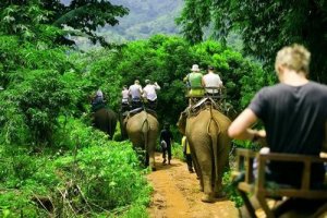 1ElephantTrekkingPhuket