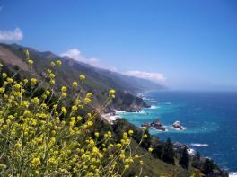 1big sur 1