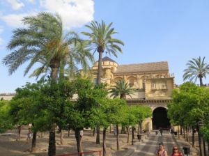 1cordoba4