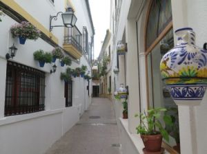 1cordoba5