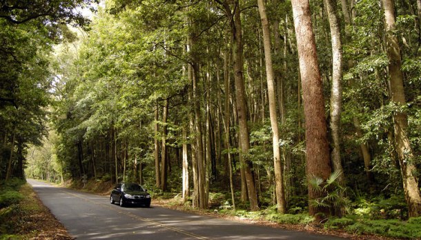 001driving-royal-national-park